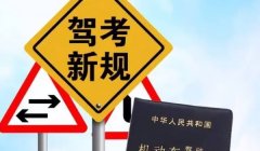 B1驾驶证能开几座客车? 乘坐人数大于9人且小于20人的车