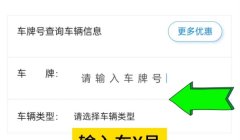 怎么免费查询车辆信息? 车管所官方网站、使用第三方车辆信息平台