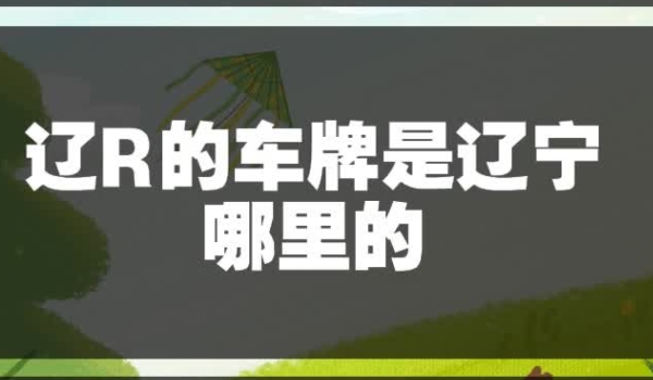 辽R是辽宁哪个城市的车牌 辽R是辽宁省铁岭市的车牌