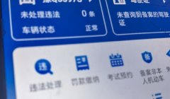 如何根据车牌号查车主信息查询 无法查询（涉及到个人隐私保护）